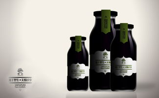 莓氏野生蓝莓果汁饮品 灵智飞扬，品牌设计的艺术与力量