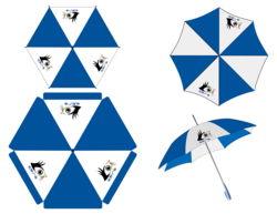 广告策划与传播中的产品分类策略及广告设计应用